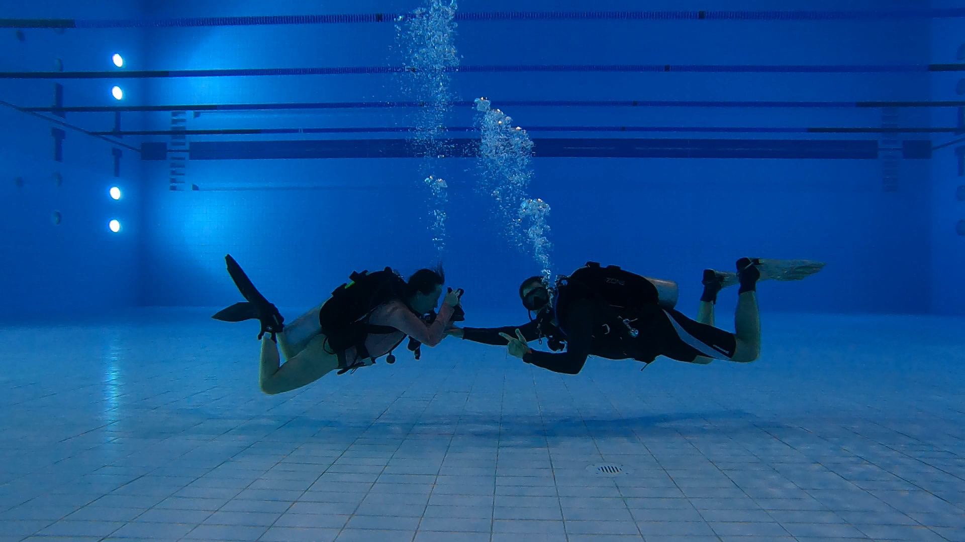 Home The Dive Academy